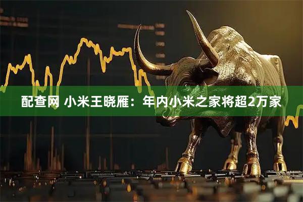 配查网 小米王晓雁：年内小米之家将超2万家