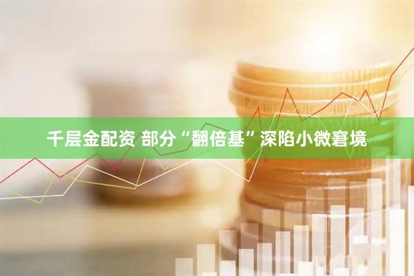 千层金配资 部分“翻倍基”深陷小微窘境